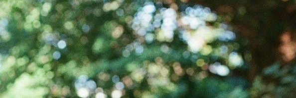 JasonGargano's profile banner image