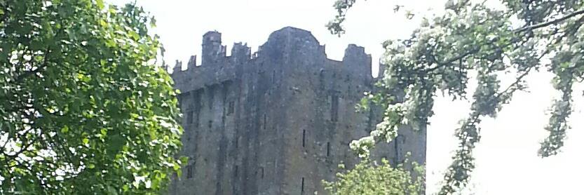 Mark Halstead banner