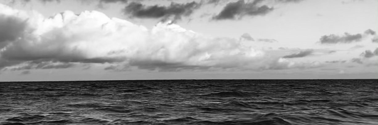 luizamadre's profile banner image