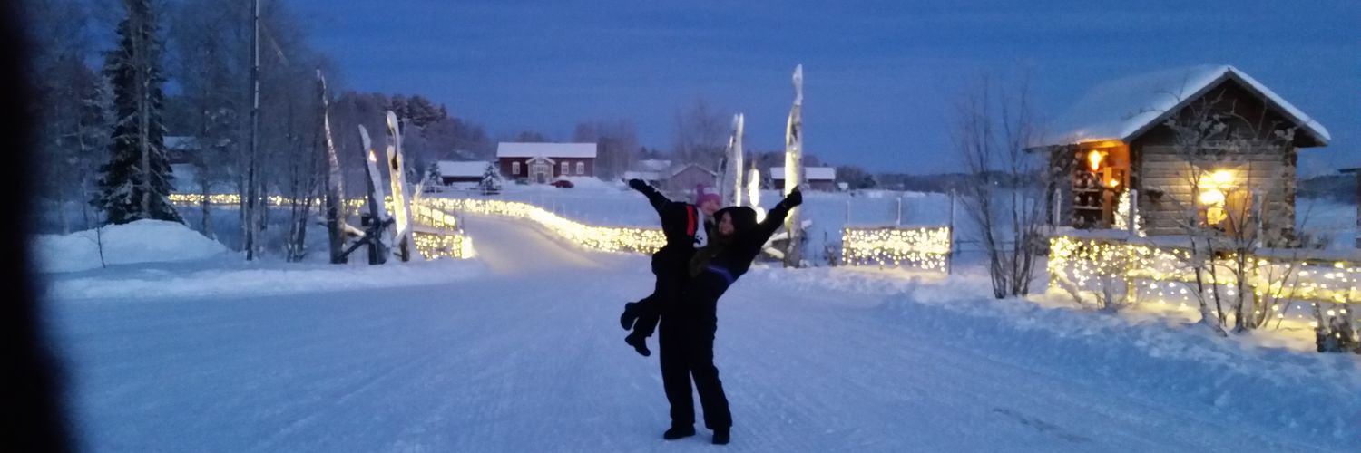 sophstids's profile banner image