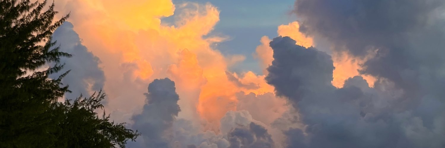 bela_simmons's profile banner image