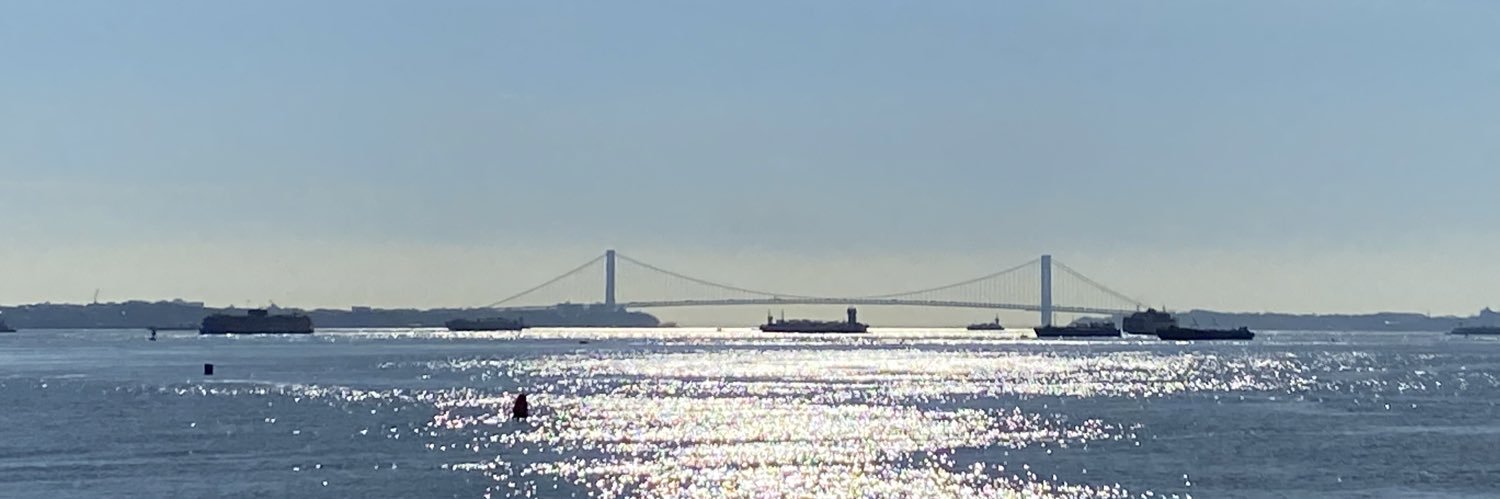chelleseniuk's profile banner image