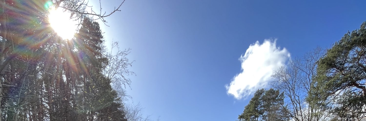 MrRidgDHT's profile banner image