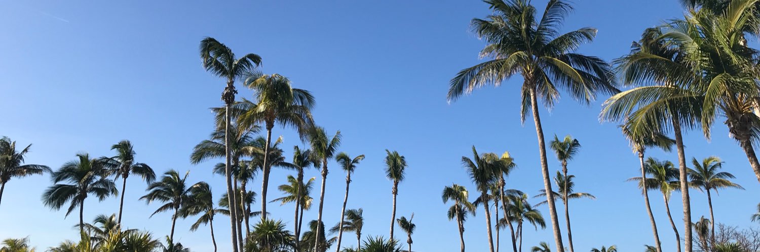 JSaara21's profile banner image