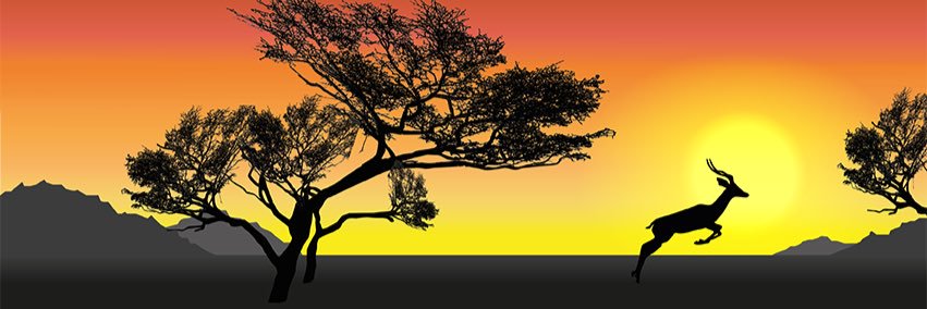GazzellaSera's profile banner image