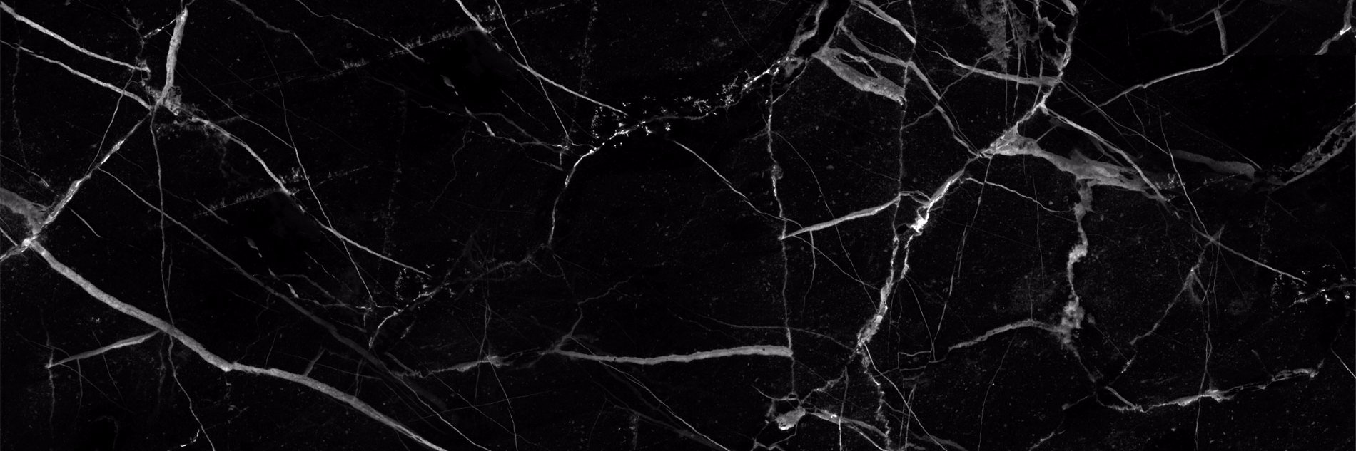 shetoldme00's profile banner image