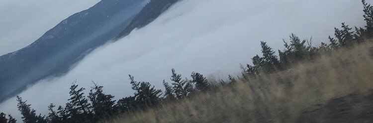 kassi_duncan's profile banner image