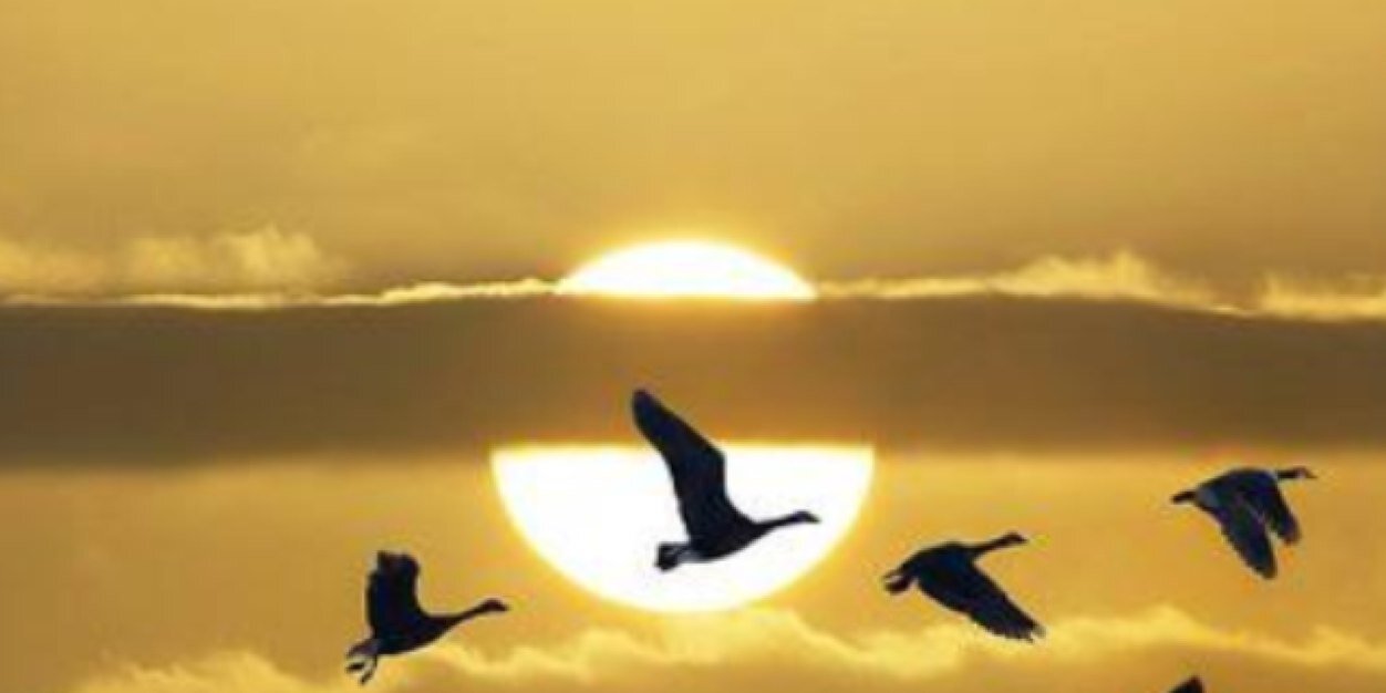 ZMZ_321's profile banner image