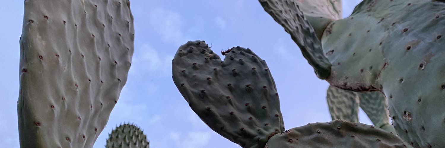 Andrea Aguirre, MD (she/her) banner