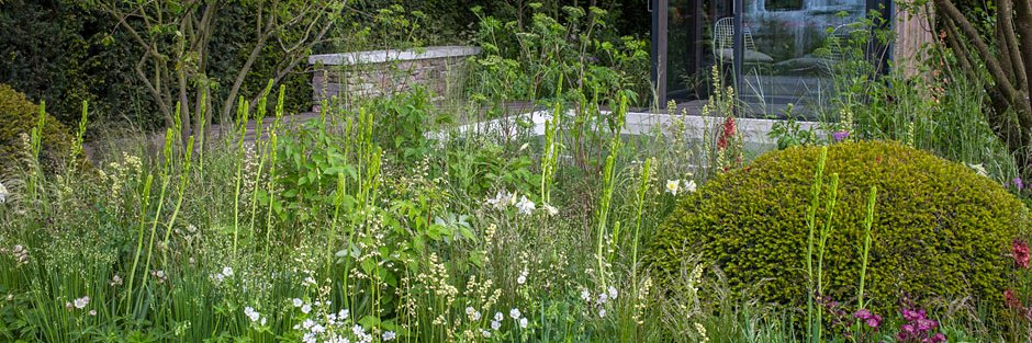 Big Fish Landscapes banner