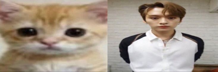 minho gostoso banner