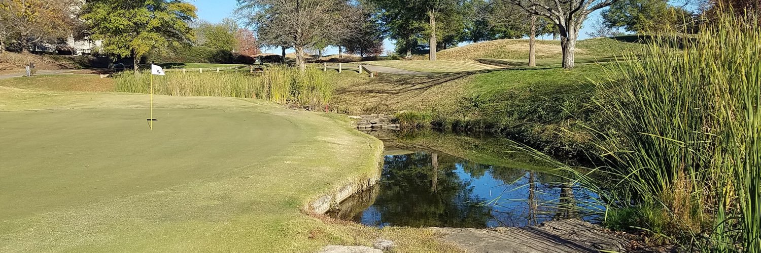BruceDowellgolf's profile banner image