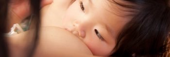 pdpdajw's profile banner image