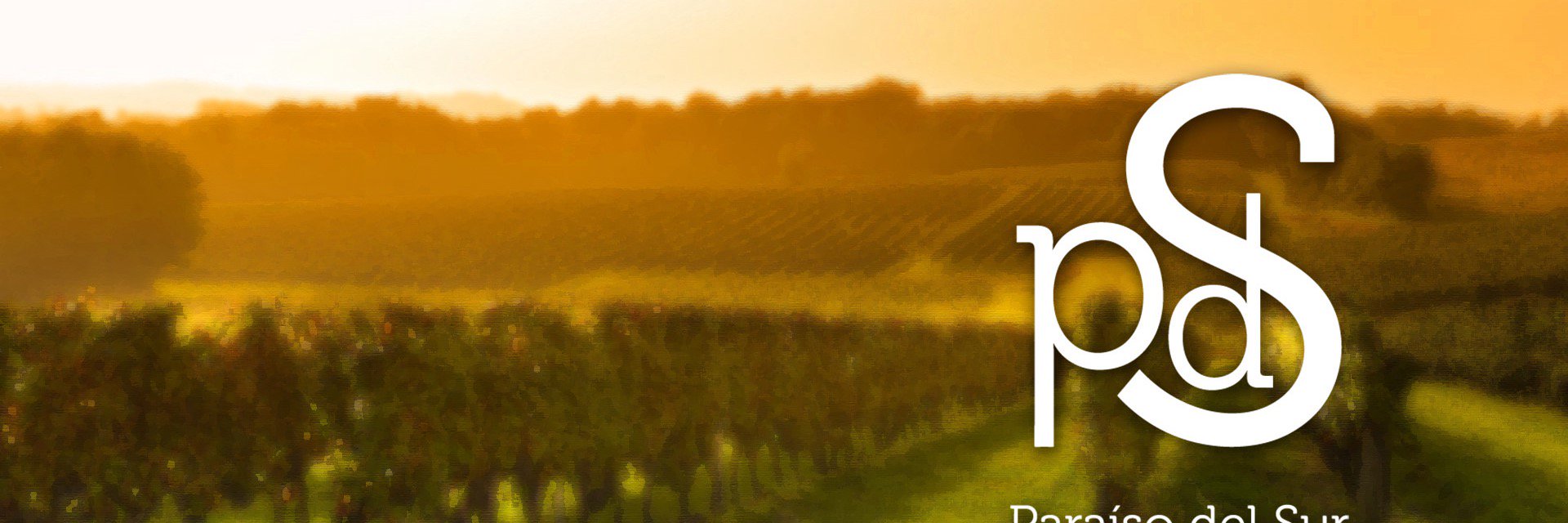 Paraiso del Sur banner