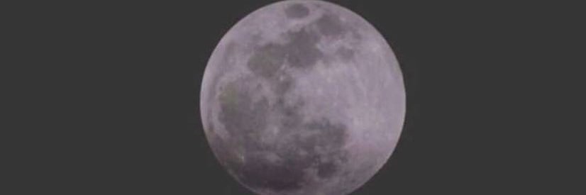 abohala111's profile banner image