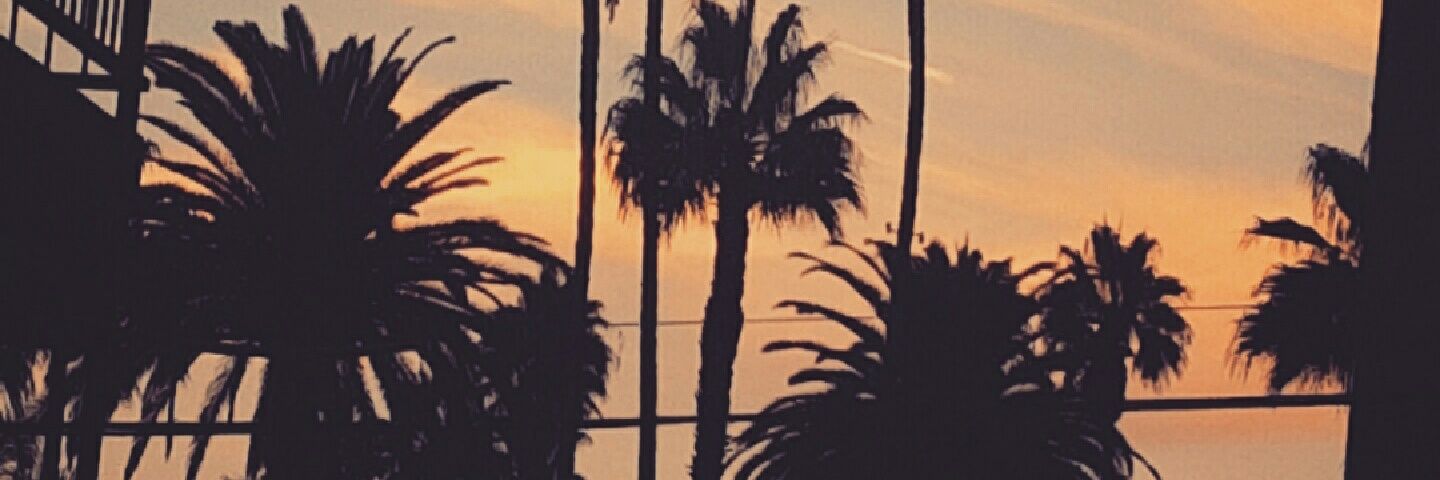 TheLakyLife's profile banner image