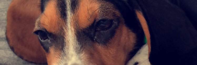 kylie_guyette's profile banner image