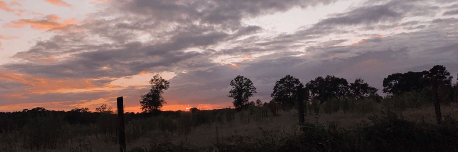 _Skylie's profile banner image