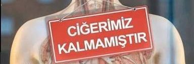AslanSumme's profile banner image