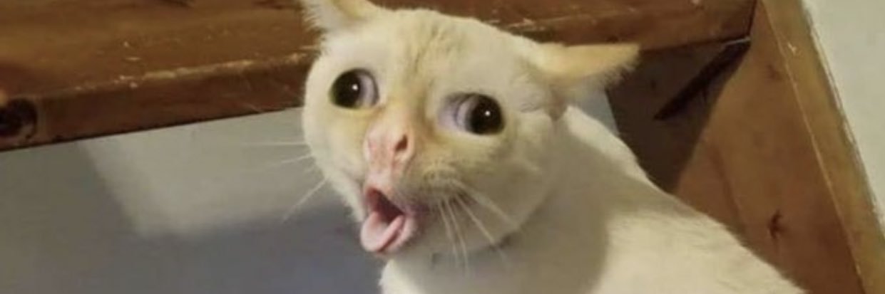 luldrayy's profile banner image