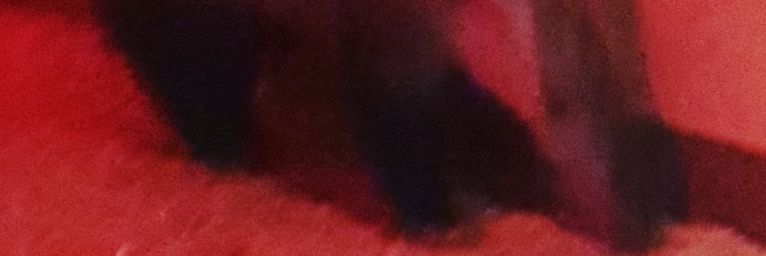 Inte_ola's profile banner image