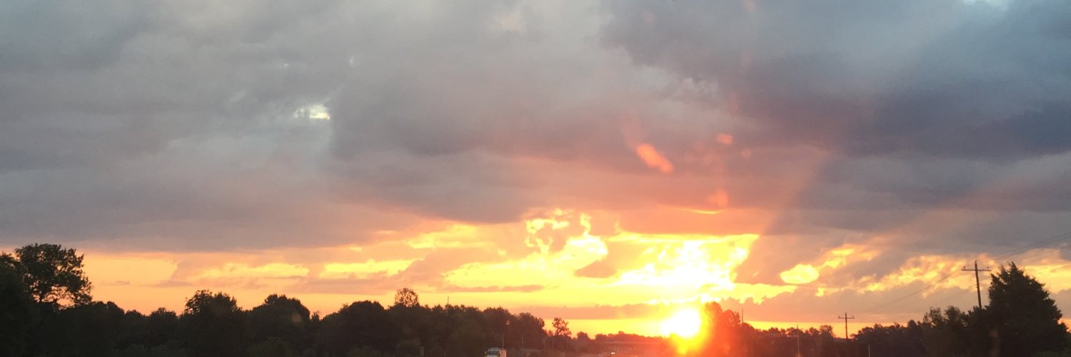 SaraHester2's profile banner image