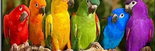 spickel72's profile banner image
