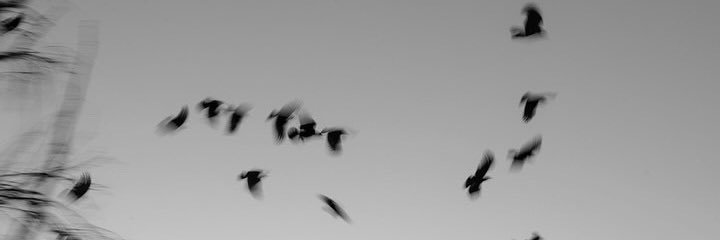 2manybarsofsoap's profile banner image