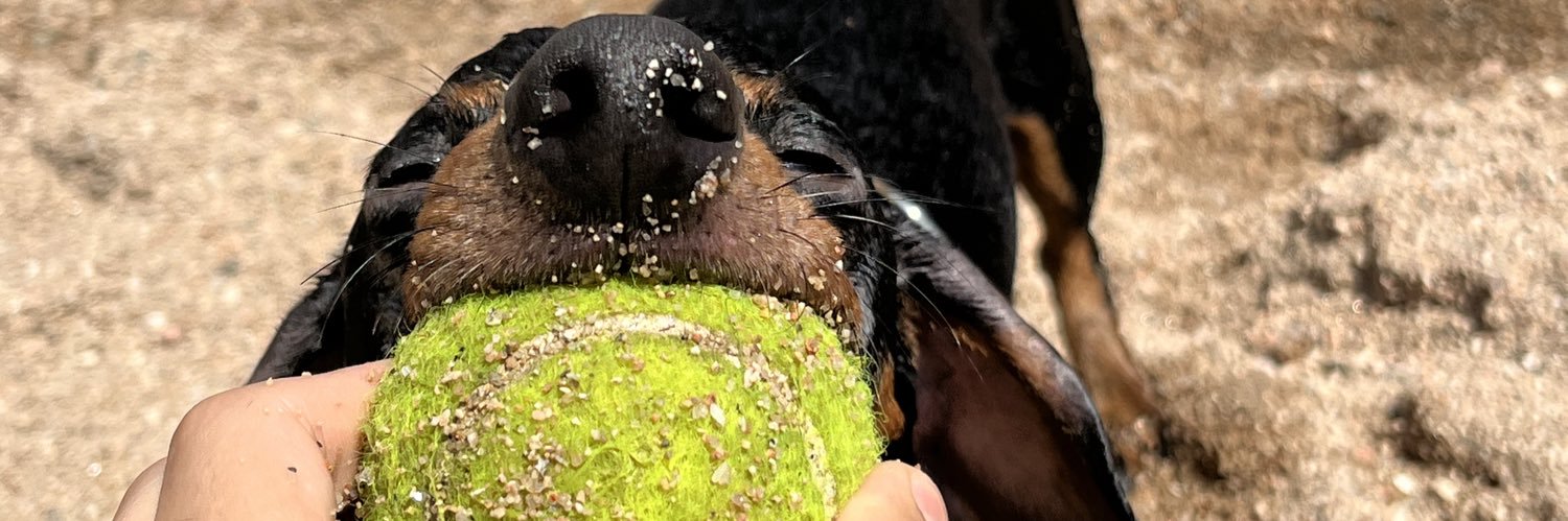MarquitosMer's profile banner image