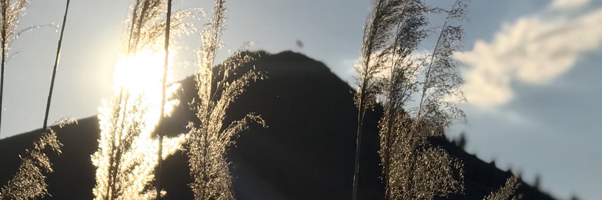 maviiiperestt's profile banner image