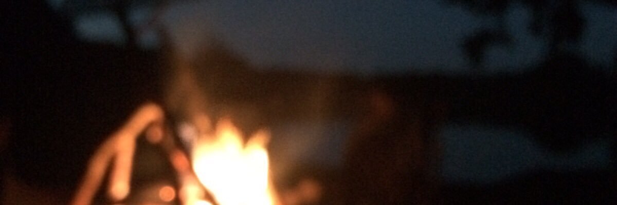 pinleapple's profile banner image