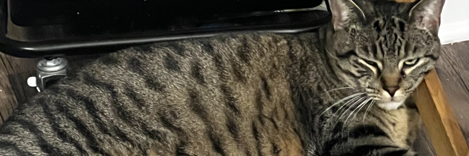 ShigglyWiggly's profile banner image