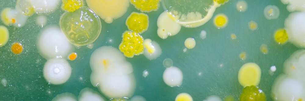 BES MicrobialEcology banner