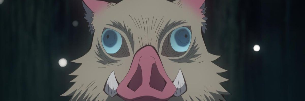 ana_silvx's profile banner image