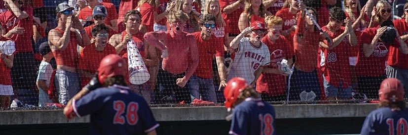 Patriots Baseball banner
