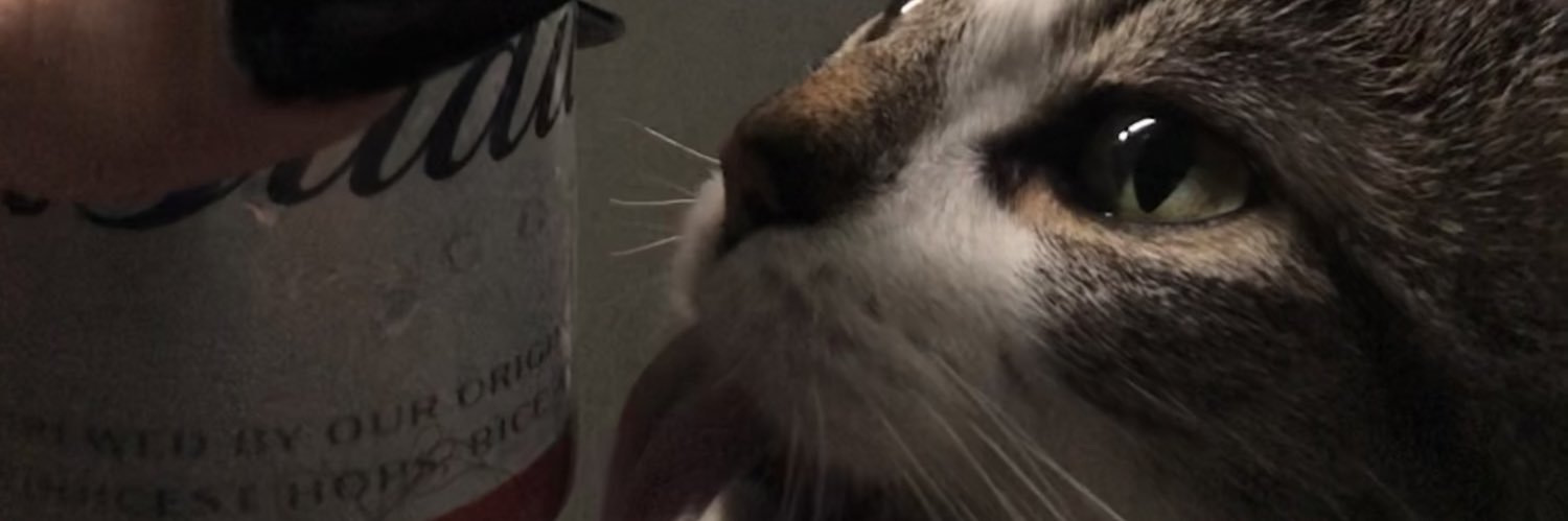 yyapeshit's profile banner image