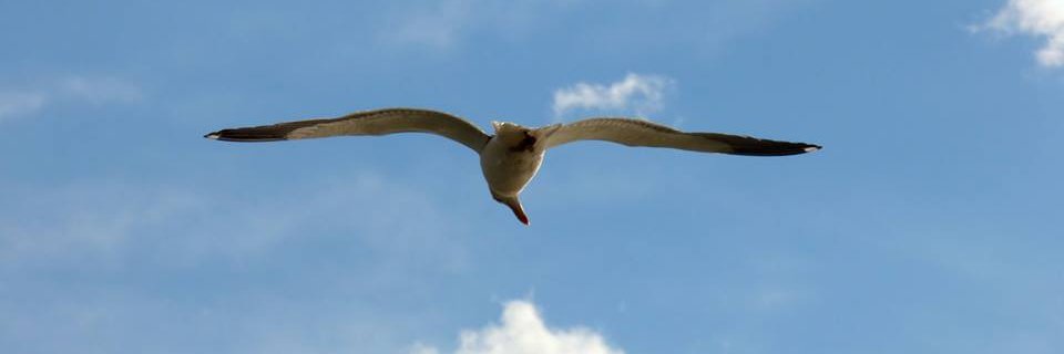 Klaudyo5's profile banner image