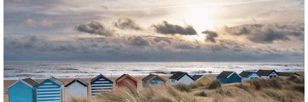 SUFFOLK Association of Local Councils banner