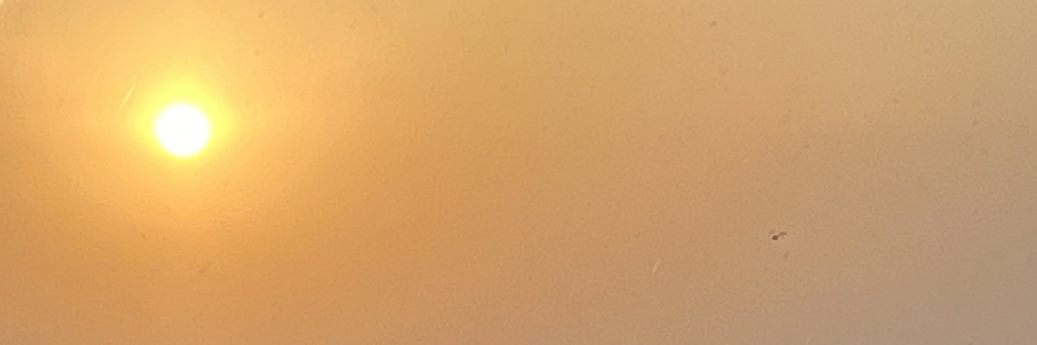 Tony Walmsley banner