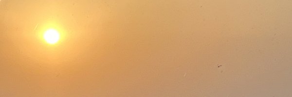 TonyWalmsley Profile Banner