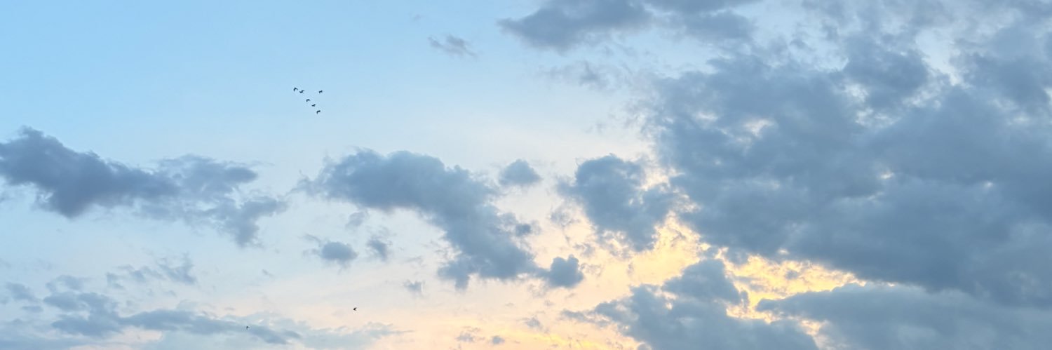 pilimtmz's profile banner image