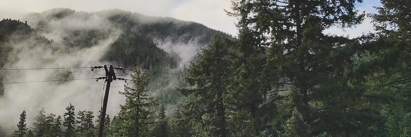 MissAustinY's profile banner image