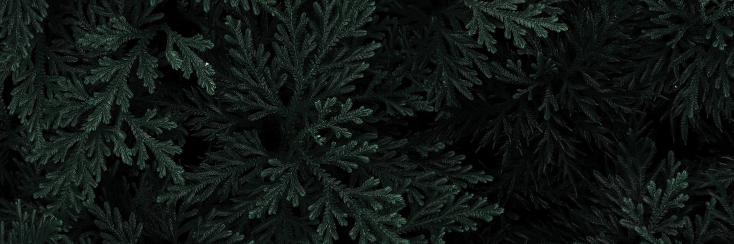 ShonoKahn's profile banner image