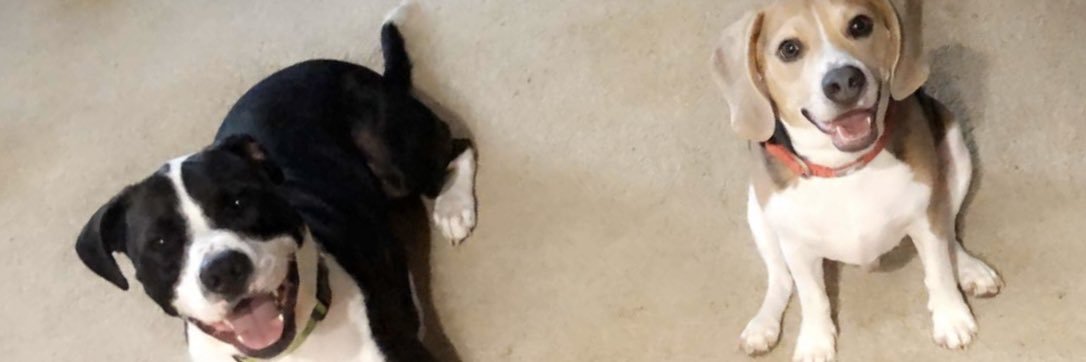 DanaaRaee's profile banner image