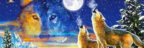 ranne1982's profile banner image