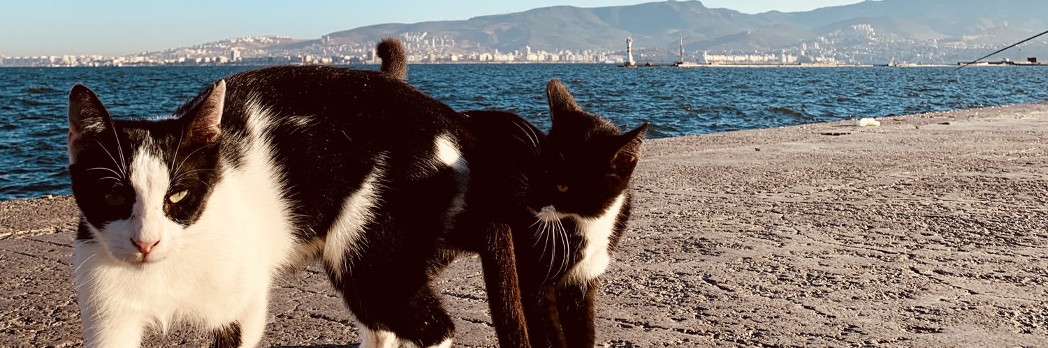 BenOnur_'s profile banner image