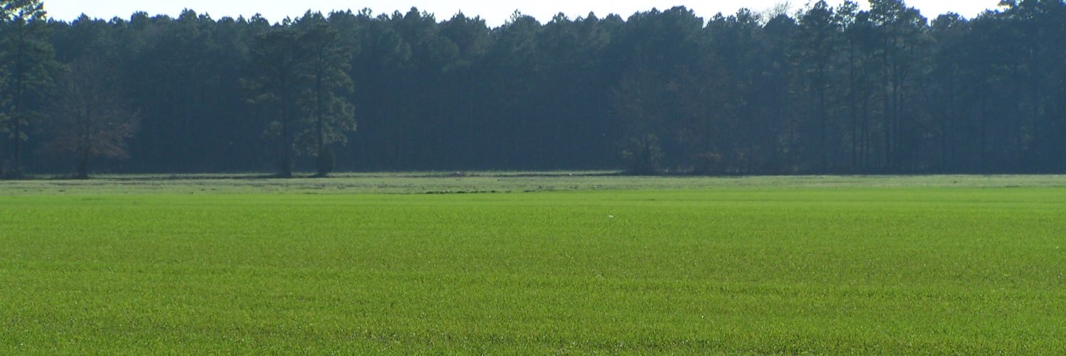 firstonthefarm's profile banner image