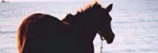 sammtalboo7's profile banner image