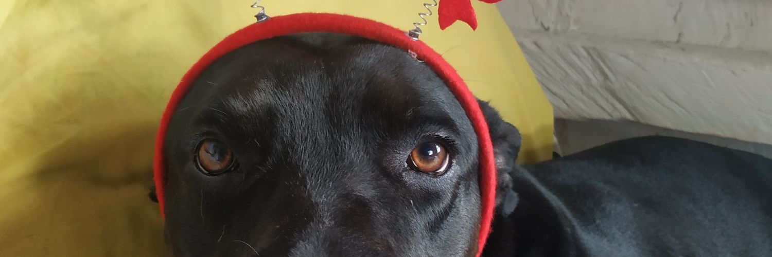 milenagraystorm's profile banner image