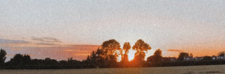 juliafayex's profile banner image